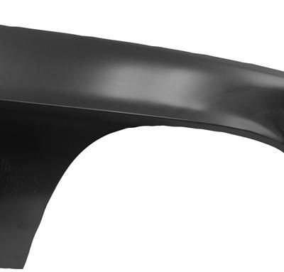 Fender RH 69 W/Extention