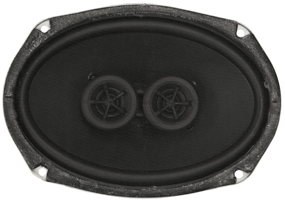 Custom Autosound Dual Voice Coil