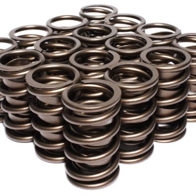 Dual Valve Springs